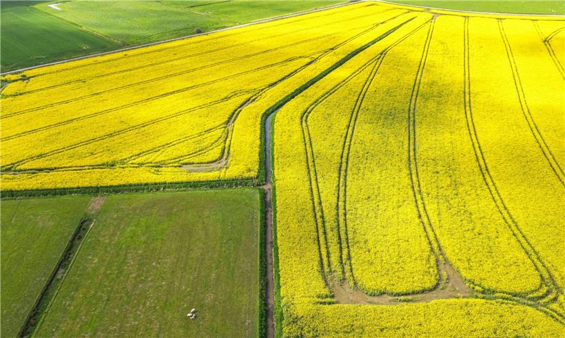 Naturschutz und Landwirtschaft müssen stärker koordiniert werden
