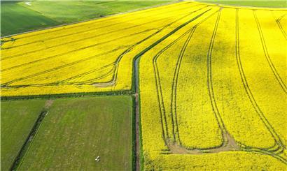 Naturschutz und Landwirtschaft müssen stärker koordiniert werden

