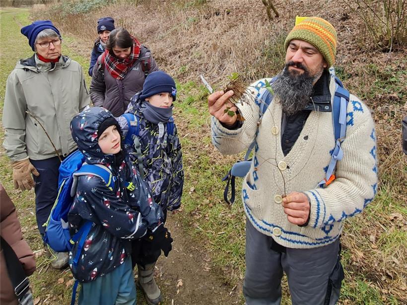 Nelkenwurz findet man häufig im Naturschutzgebiet
