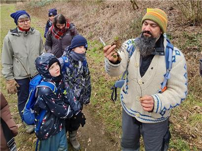 Nelkenwurz findet man häufig im Naturschutzgebiet
