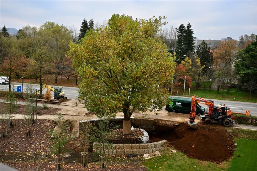 Neuer Standort: Generationenpark – nachher