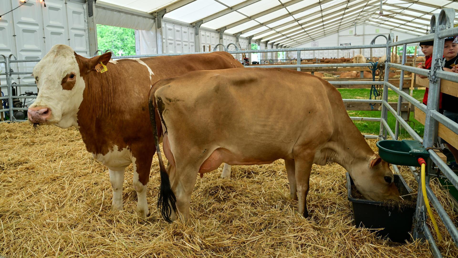 Bauern im Süden Luxemburgs bei der Arbeit auf dem Feld, Herausforderungen in der Landwirtschaft regional unterschiedlich