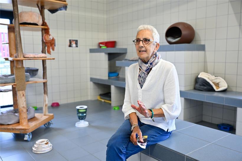 Nicht jede Katze, die man in der Nachbarschaft findet, muss sofort ins Tierheim gebracht werden, bekräftigt Ferron
