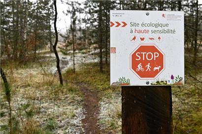 Nicht jeder Mensch respektiert die Stoppschilder
