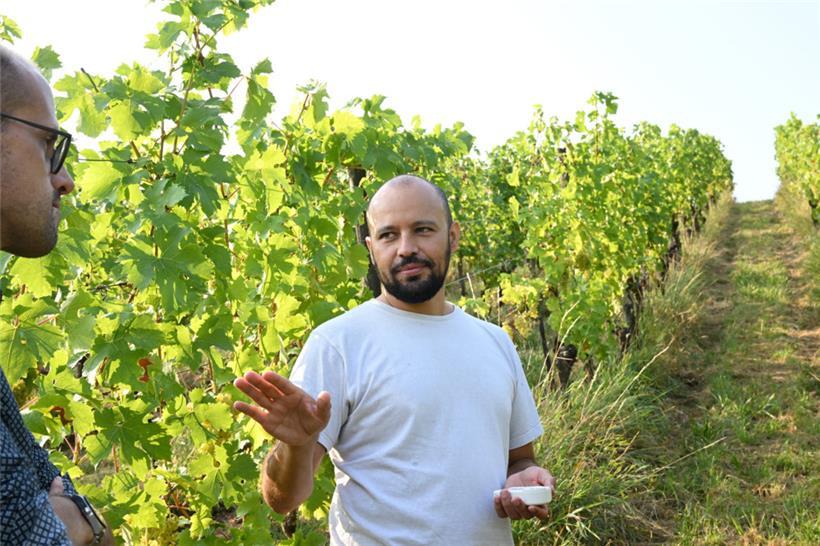 Nicht mehr zu lange abwarten: Jean Cao rät uns dazu, Ende dieser Woche oder spät...