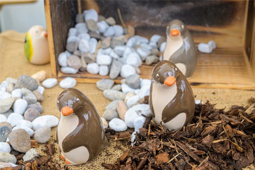 Nicht nur Péckvillercher, auch Pinguine fand man auf dem Markt
