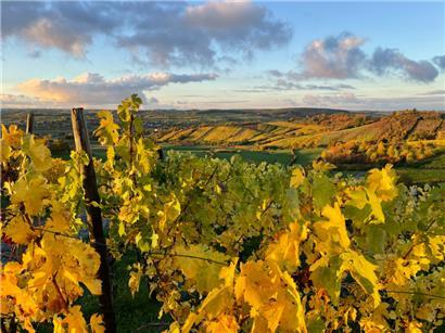 Nicht nur golden, sondern auch sommerlich warm war dieser Oktober
