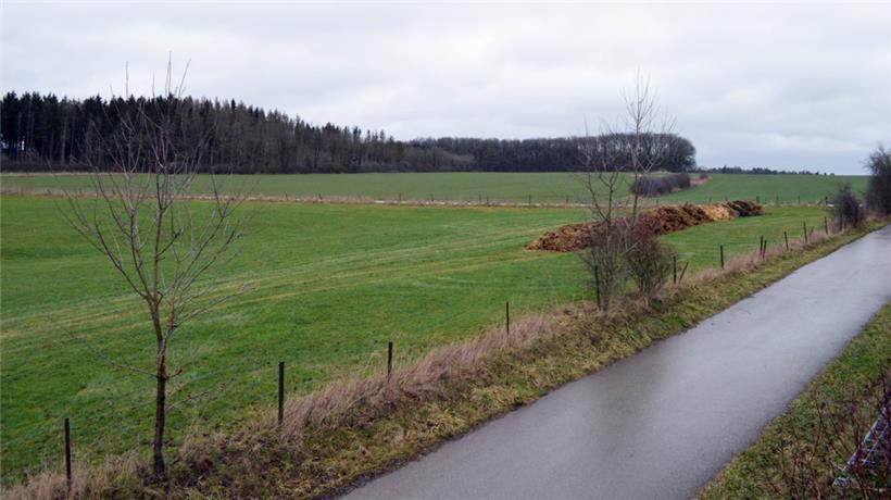 Nicht viel los: Ob Google am Gelände in Bissen (Archivbild) überhaupt noch Interesse hat, ist derzeit unklar wie vieles andere
