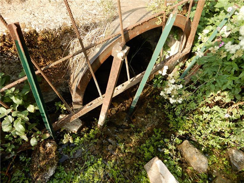 Nicht weit entfernt vom Weiher verschwindet das Wasser in einem verrosteten Rohr
