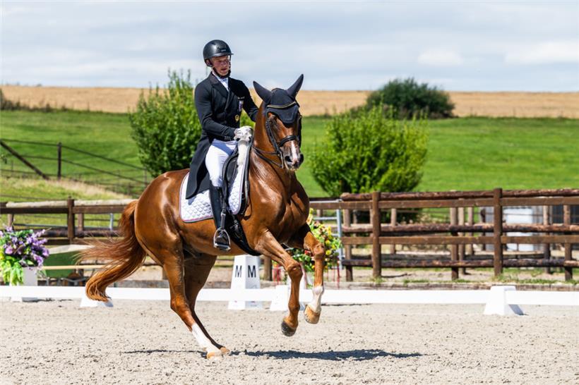 Nicolas Wagner Ehlinger auf Quater Back Junior
