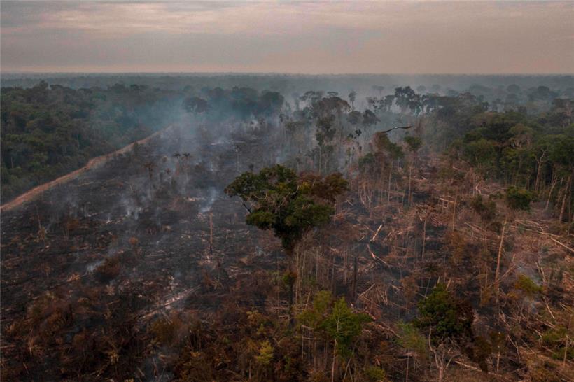 Niedergebrannter Regenwald in Rondonia, Brasilien