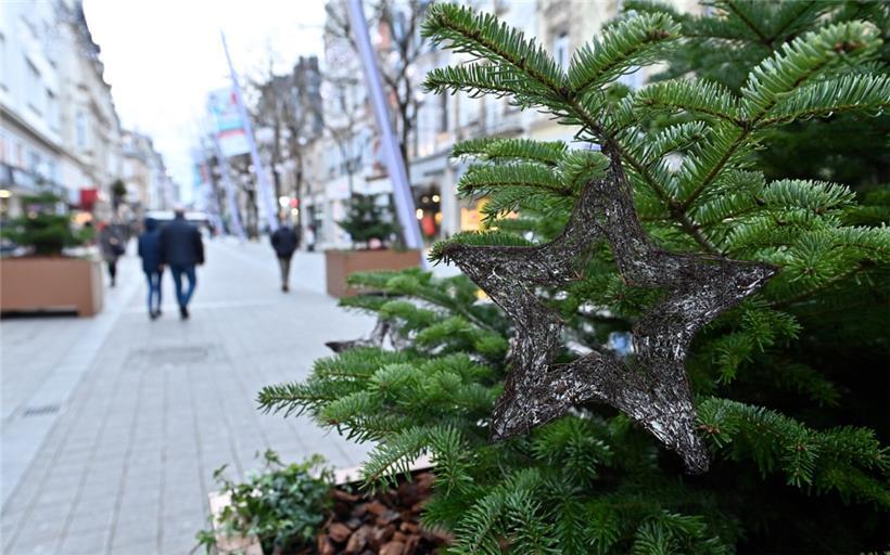 Noch bis Mitte August haben Luxemburgs Einwohner die Möglichkeit, ihre Tanne zu spenden
