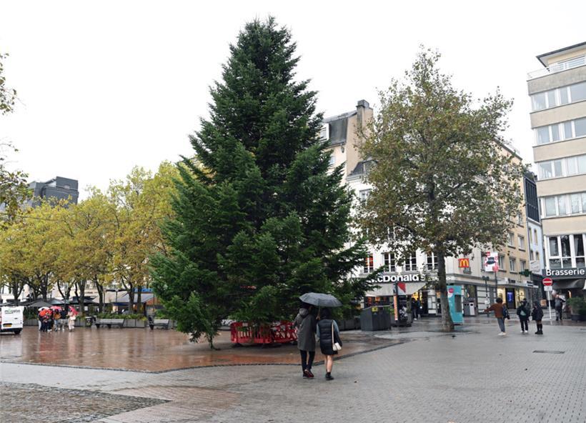 Noch ist der Baum in der Hauptstadt nicht geschmückt, zu Beginn der „Winterlights“ wird das allerdings anders aussehen
