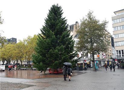 Noch ist der Baum in der Hauptstadt nicht geschmückt, zu Beginn der „Winterlights“ wird das allerdings anders aussehen
