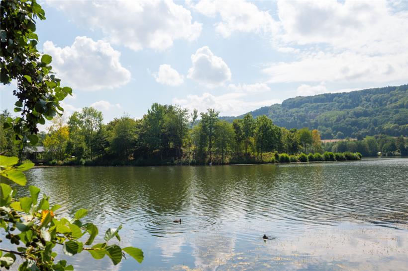 Noch ziehen die Enten alleine ihre Bahnen im Echternacher See
