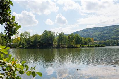Noch ziehen die Enten alleine ihre Bahnen im Echternacher See
