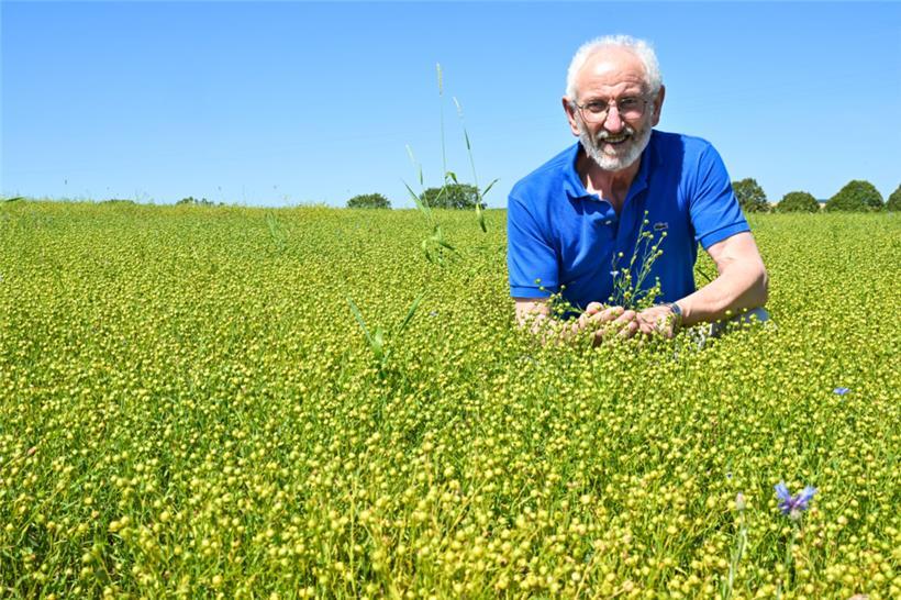 Norbert Eilenbecker in einem Meer aus Pflanzen für die Ölproduktion: Die „Ourdaller“ Genossenschaft ist professionell aufgestellt 
