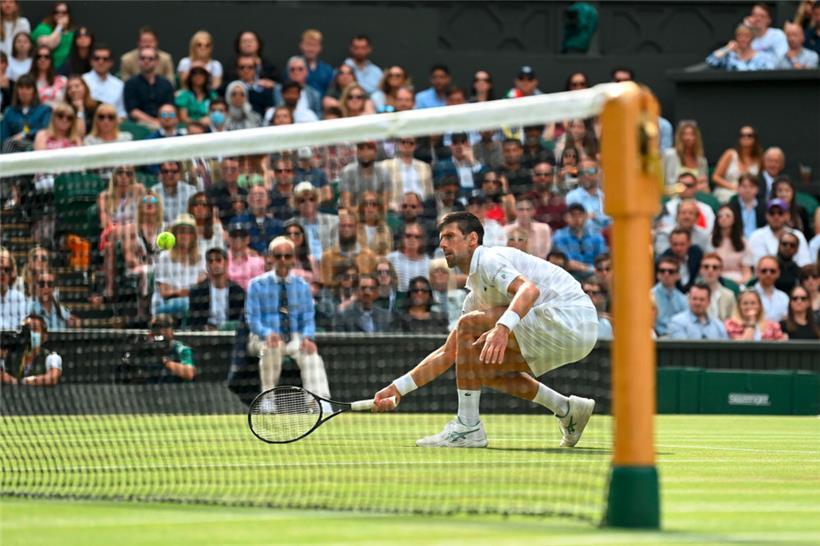 Novak Djokovic hat bereits siebenmal in Wimbledon triumphiert
