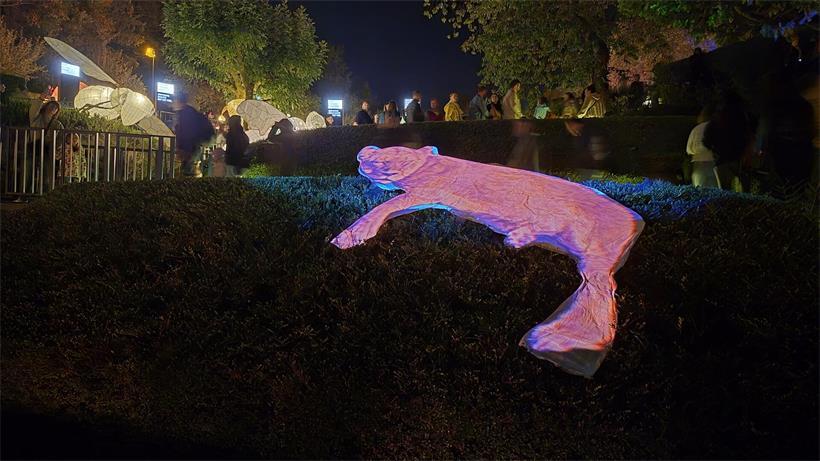 "Nuit des lampions" in Wiltz 2026