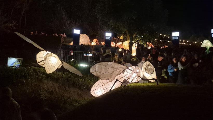 "Nuit des lampions" in Wiltz 2026