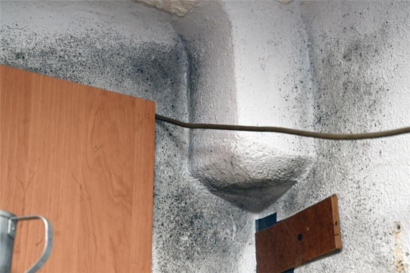 Nur eine von vielen Ecken in dem gemieteten Haus, in dem sich Schimmel breitgemacht hat
