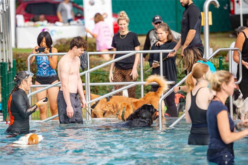 Ob Groß oder Klein, Zwei- oder Vierbeiner, für alle war Platz