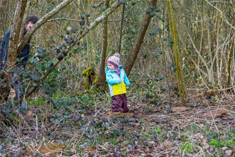 Ob sich auch in diesem Gestrüpp Ostereier finden lassen …?