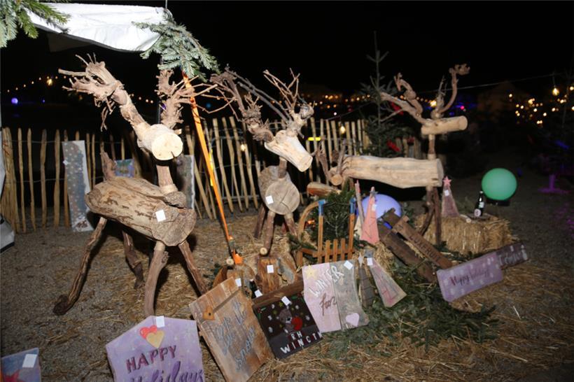 Ob wohl einer dieser Gesellen „unter“ dem Weihnachtsbaum landet?