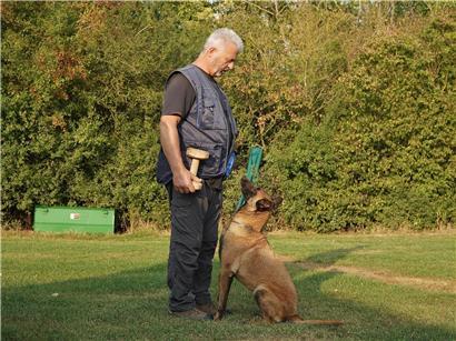 Jos Patrissi, IGP-Trainer, mit seiner sechsjährigen Malinois-Hündin Prischka auf dem Hundesport-Übungsplatz in Gasperich