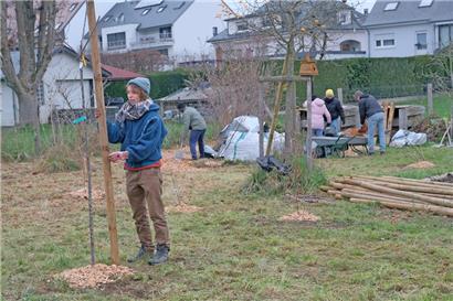 Ohne geht es nicht: Vor jeder Ernte steht Aufbauarbeit an
