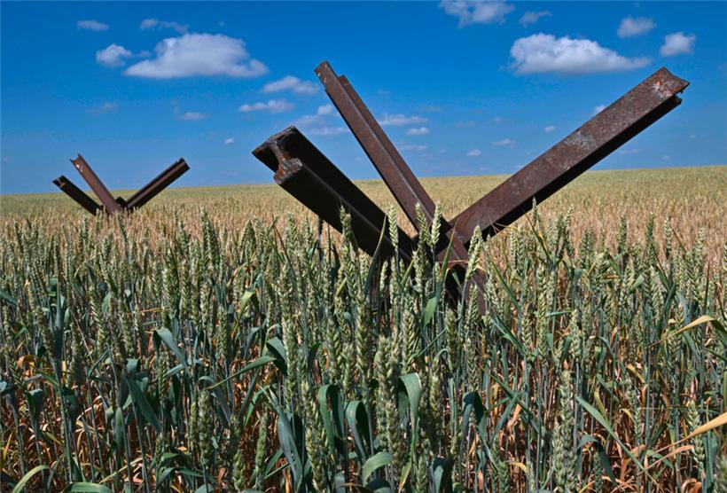 Panzersperren in einem ukrainischen Weizenfeld: Millionen Menschen droht der Hunger
