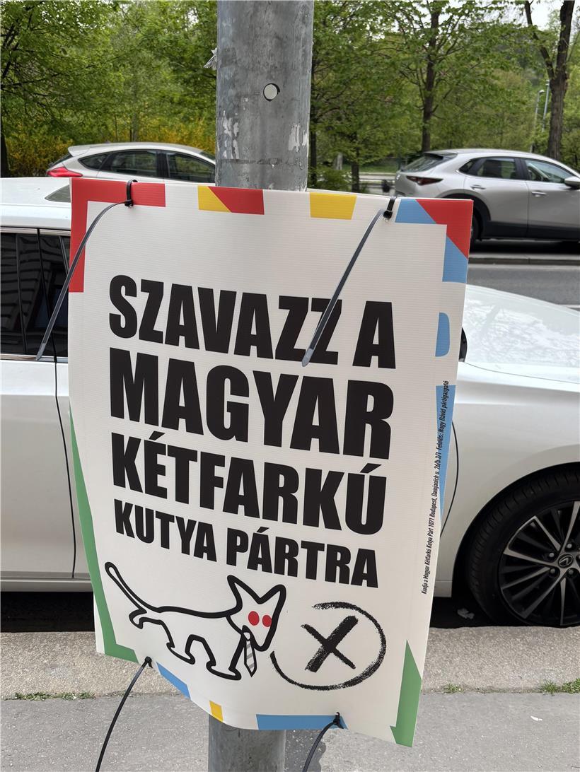 Zweischwänziger Hund sitzt aufmerksam im Grünen, symbolisch für seltene Hunderassen und ungewöhnliche Haustiere.