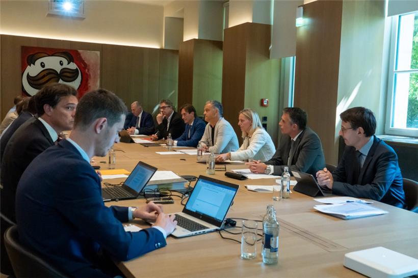 Patronatsvertreter, …