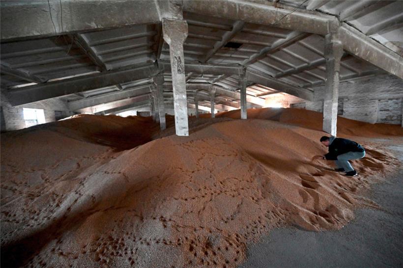 Petro Potapenko untersucht Reste unverkauften Getreides in seiner Lagerhalle in der Region von Kiew in der Ukraine
