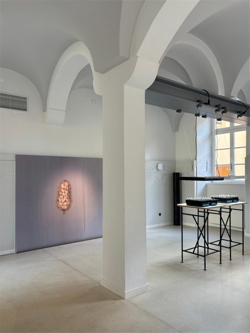 „Plante Mère“ in der Abtei Neumünster
