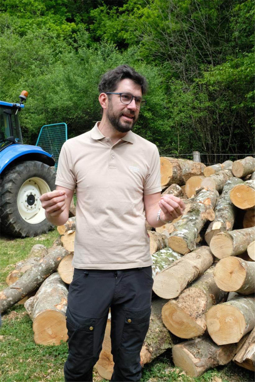 Pol Zimmermann und sein Team sind tagtäglich mit dem Waldsterben konfrontiert
