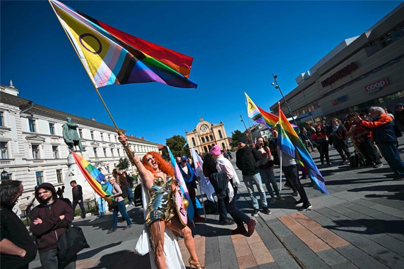 Posieren mit der Flagge der Progress-Bewegung während einer Pride-Parade in Pecs
