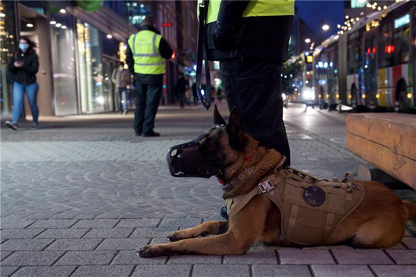 Präsenz zeigen und Polizei verständigen: Die Aufgaben der Sicherheitsbeamten greifen nicht in den Kompetenzbereich der Polizei über, sagt Schöffe Serge Wilmes
