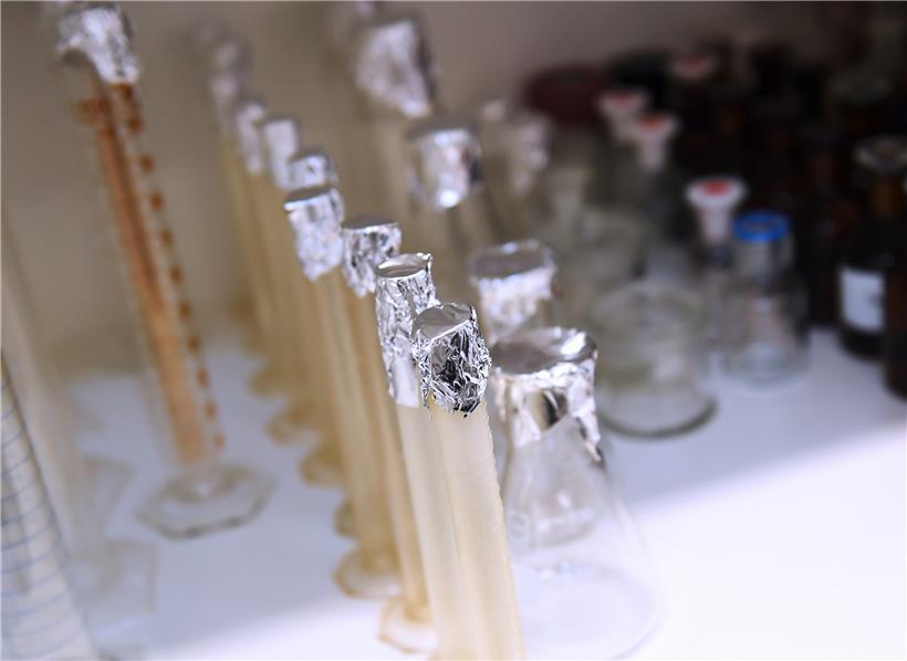 Proben im LNS in Düdelingen
