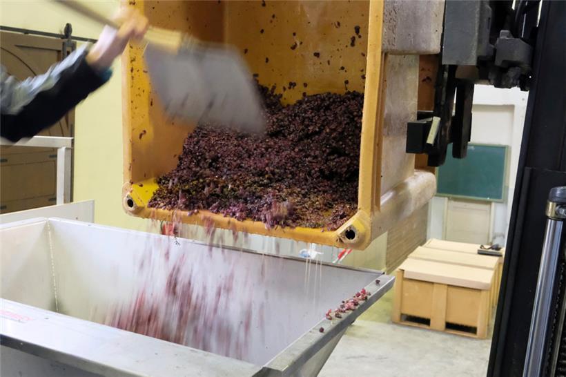 Produktion des Strohweins