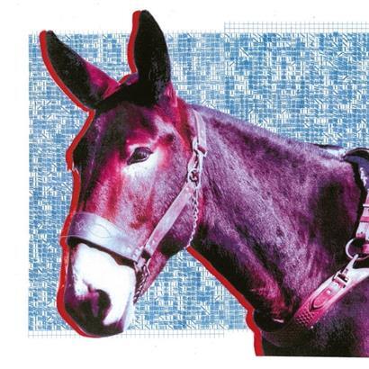 Protomartyr – Ultimate Success Today
