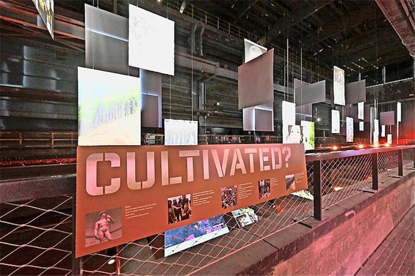 „Pure Europe“ part des stéréotypes pour pousser le visiteur à la réflexion
