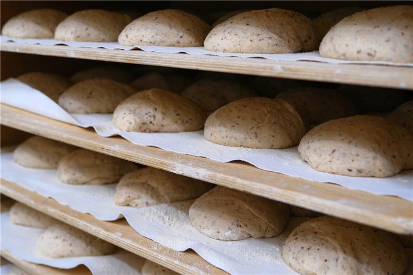 Qualitätsbrot reift heran: Im „Bakhaus“ garantieren Zutaten und Handarbeit die Qualität
