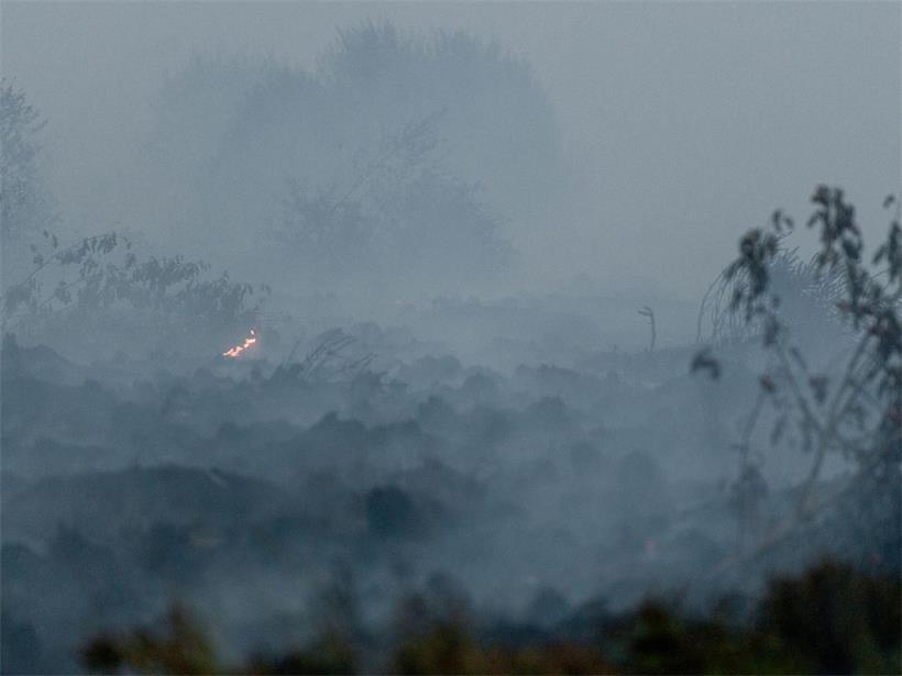 Rauch steigt aus dem verbrannten Boden im Naturschutzgebiet Hohes Venn auf
