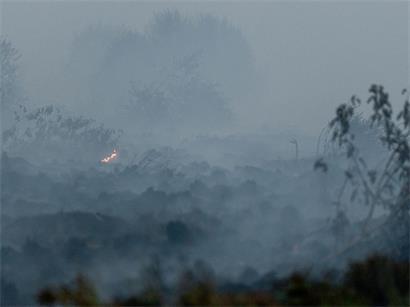 Rauch steigt aus dem verbrannten Boden im Naturschutzgebiet Hohes Venn auf