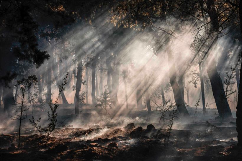 Rauch steigt während eines Waldbrands auf der griechischen Insel Chios am 23. Juni 2025 aus dem Unterholz auf
