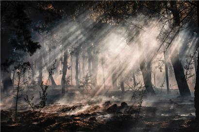 Rauch steigt während eines Waldbrands auf der griechischen Insel Chios am 23. Juni 2025 aus dem Unterholz auf
