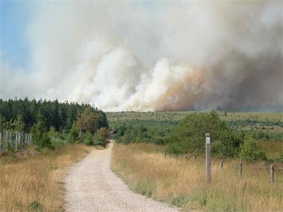 Rauchwolken steigen während eines Waldbrands im Naturschutzgebiet „Hautes Fagnes“ (Hohe Fennen) in Jalhay in den Himmel auf
