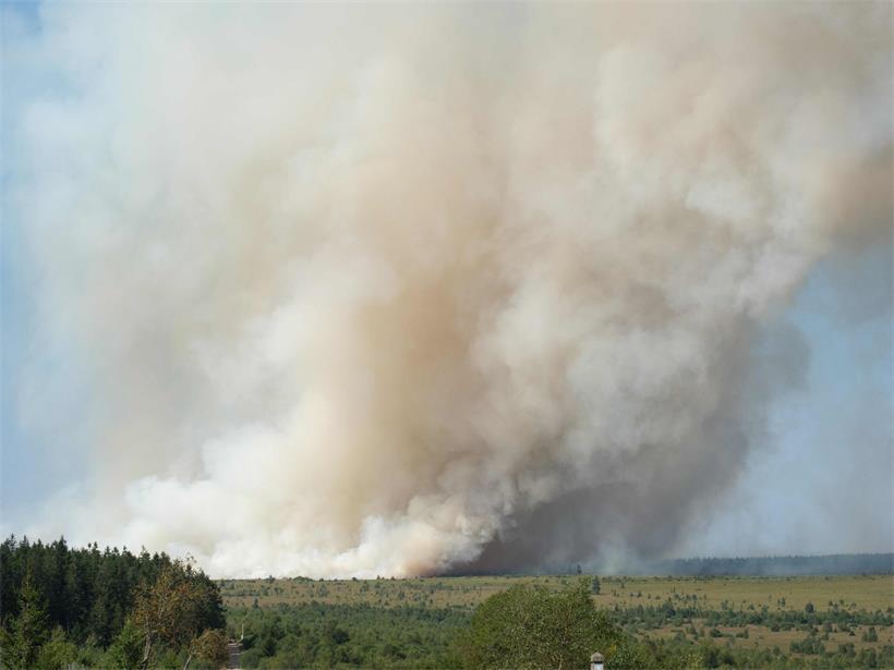 Rauchwolken steigen während eines Waldbrands im Naturschutzgebiet „Hautes Fagnes“ (Hohe Fennen) in Jalhay in den Himmel auf