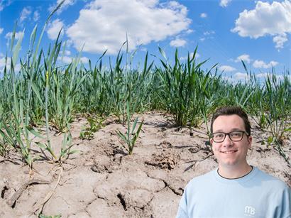 Regen würde nicht nur dem Getreide guttun ...